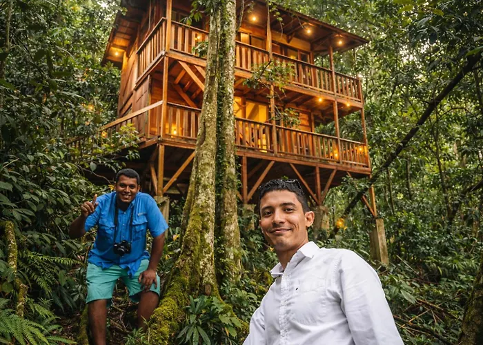 Jungle Overnight Lodge *