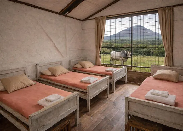 Jungle Overnight Lodge *