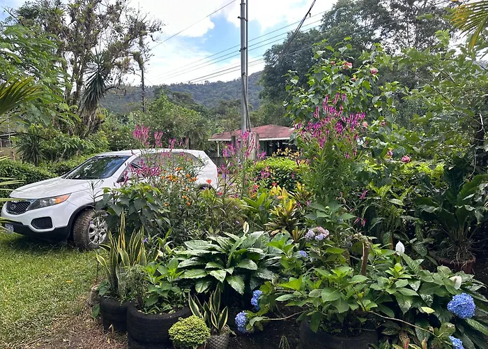 Jungle Overnight Lodge