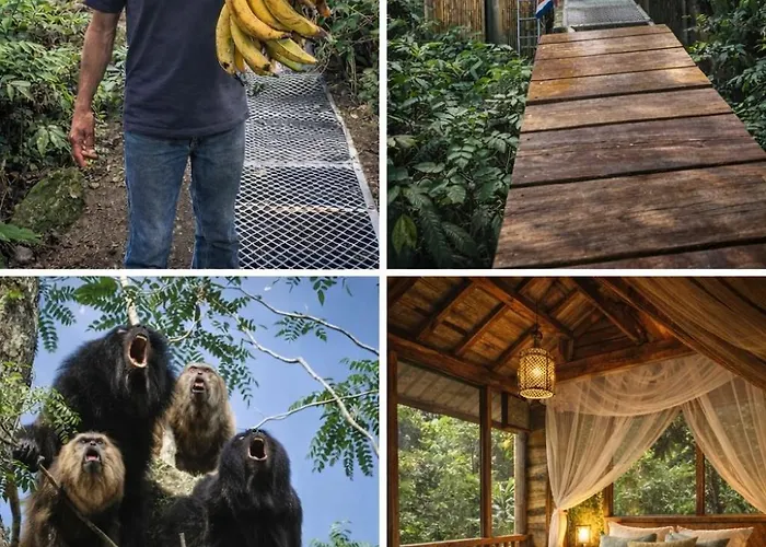 Jungle Overnight Lodge