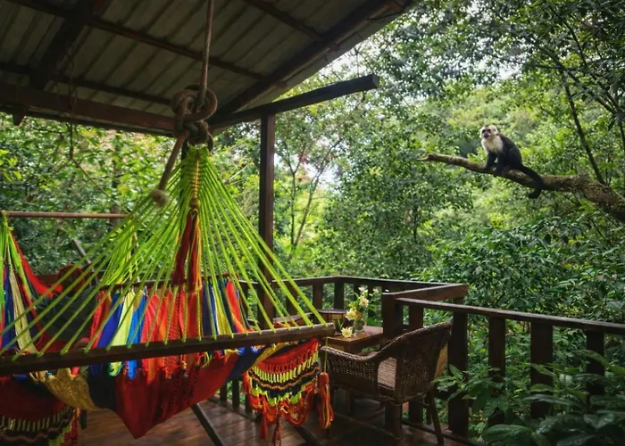 Jungle Overnight * Union