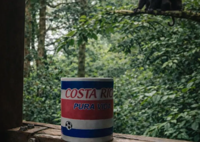 Jungle Overnight *