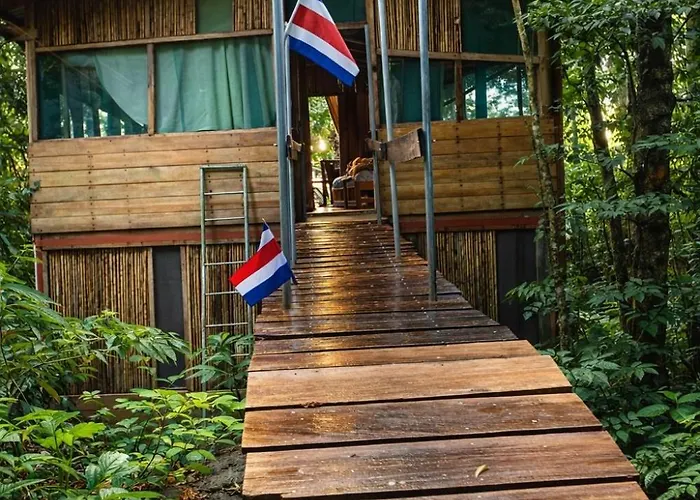 Jungle Overnight Lodge
