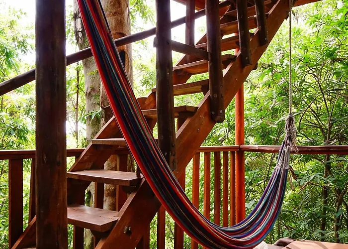 Lodge Jungle Overnight Union