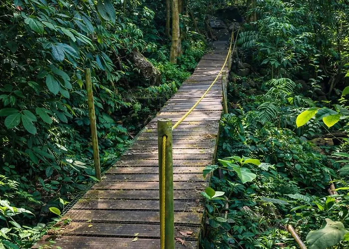 Lodge Jungle Overnight Union