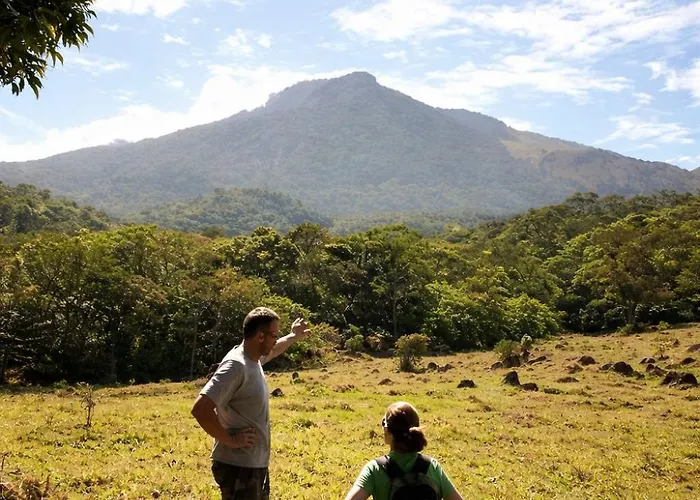 Jungle Overnight Lodge Union