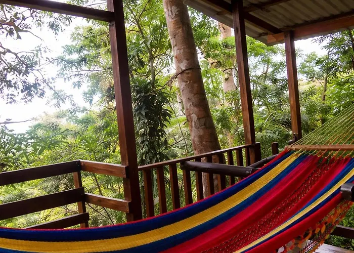 Jungle Overnight Lodge *