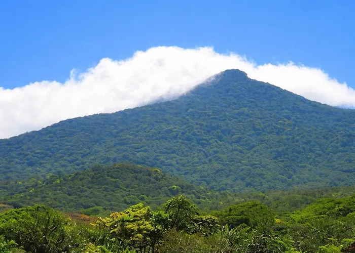 Lodge Jungle Overnight *