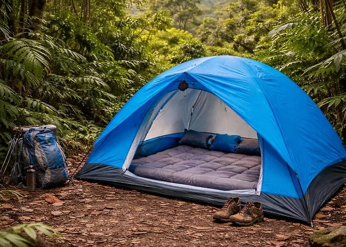 Jungle Overnight