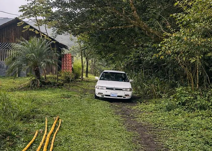 Jungle Overnight Lodge Union